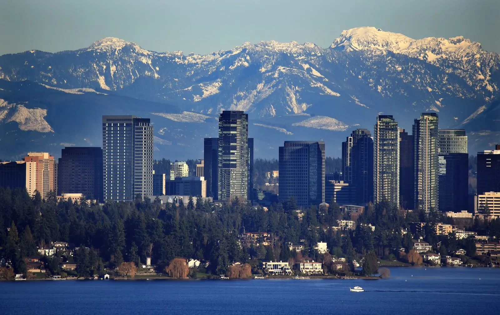 Making moves simple, fast, and stress-free for families and businesses in Bellevue, WA