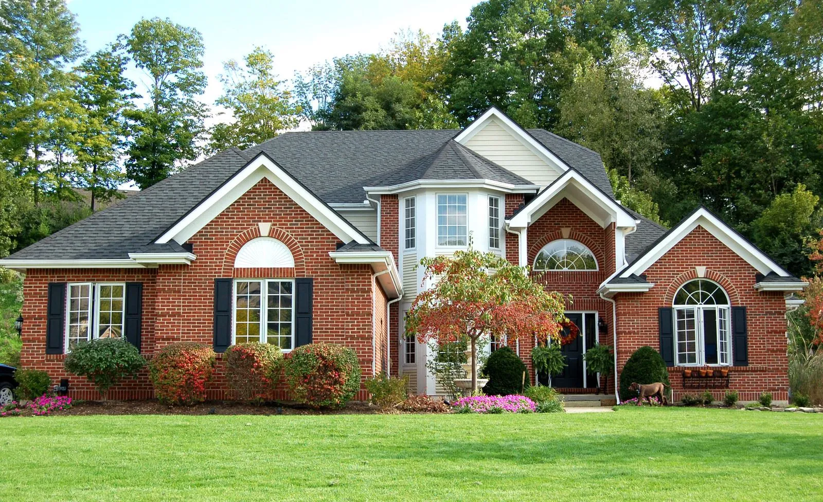 Stress-free,fast, and simple moves for families and businesses across West Bellevue, WA